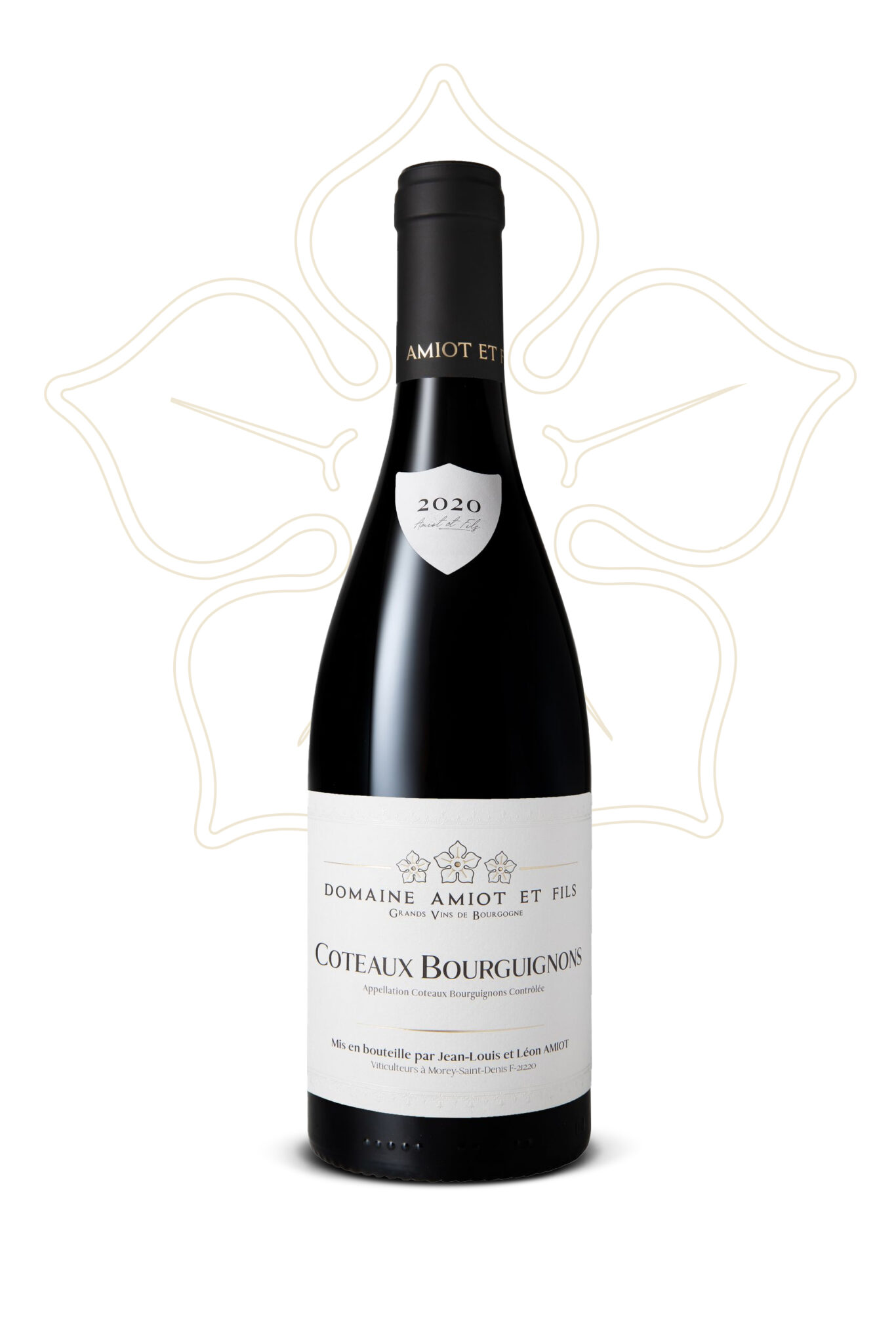Vin régionales Coteaux Bourguignons Domaine Amiot & Fils