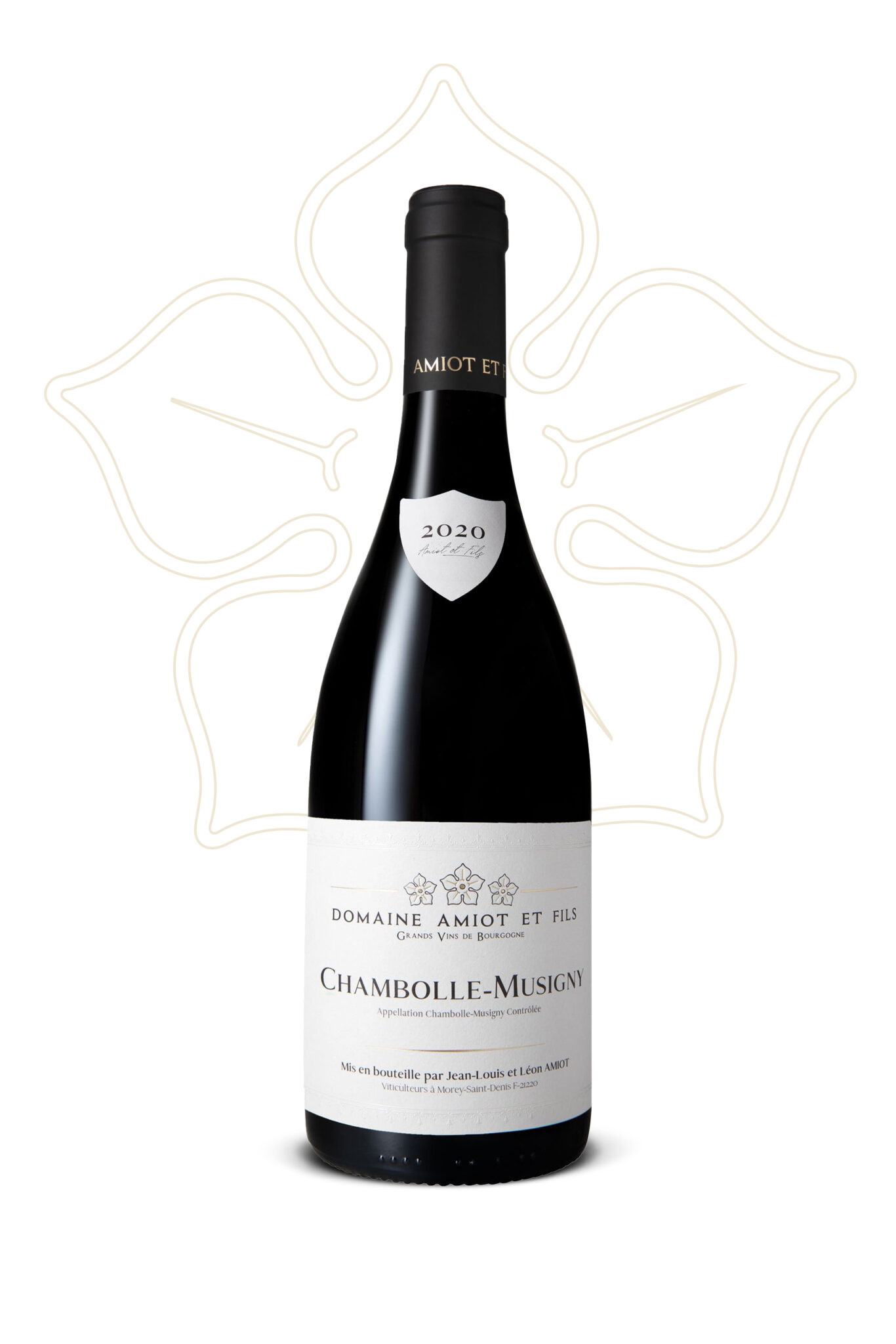 Vin Village Chambolle Musigny Domaine Amiot & Fils