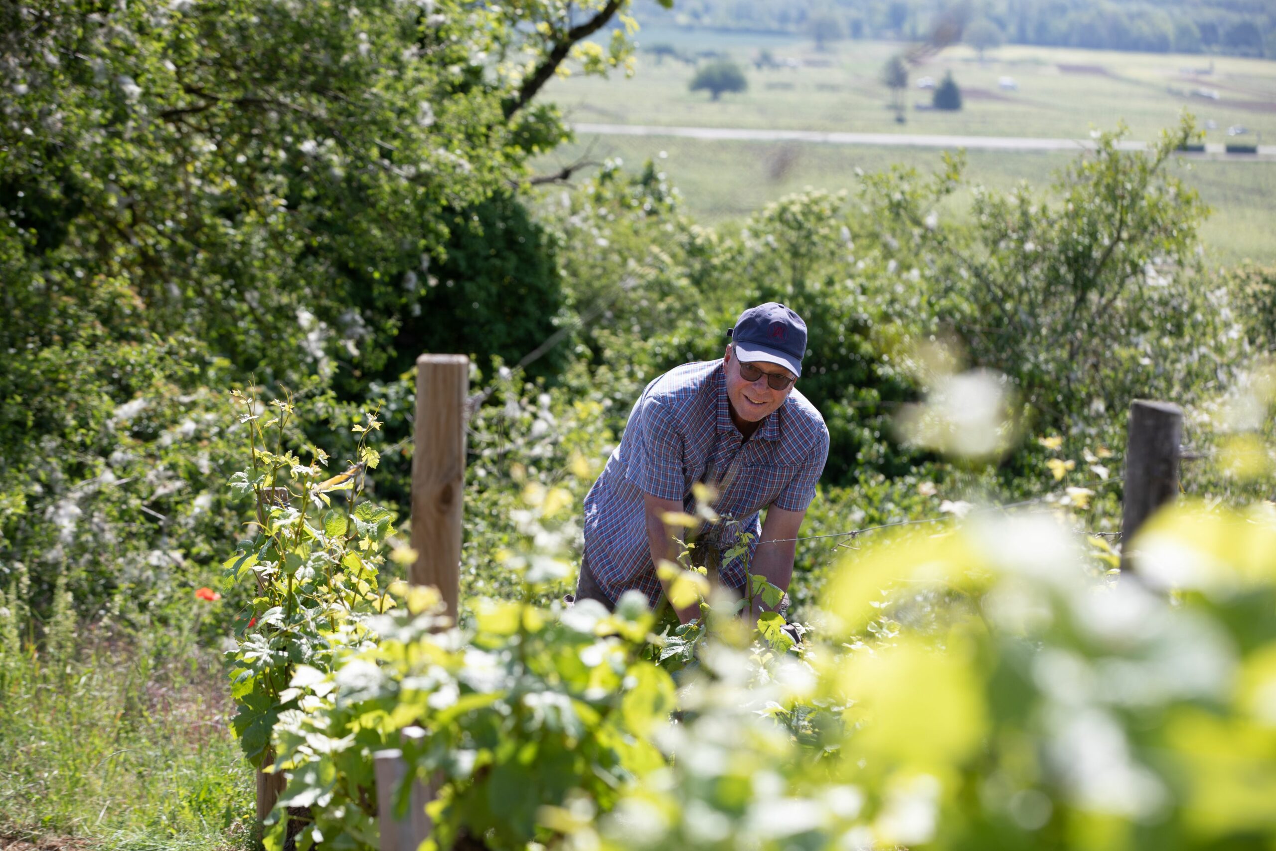 Life At The Domain Domaine Amiot Et Fils