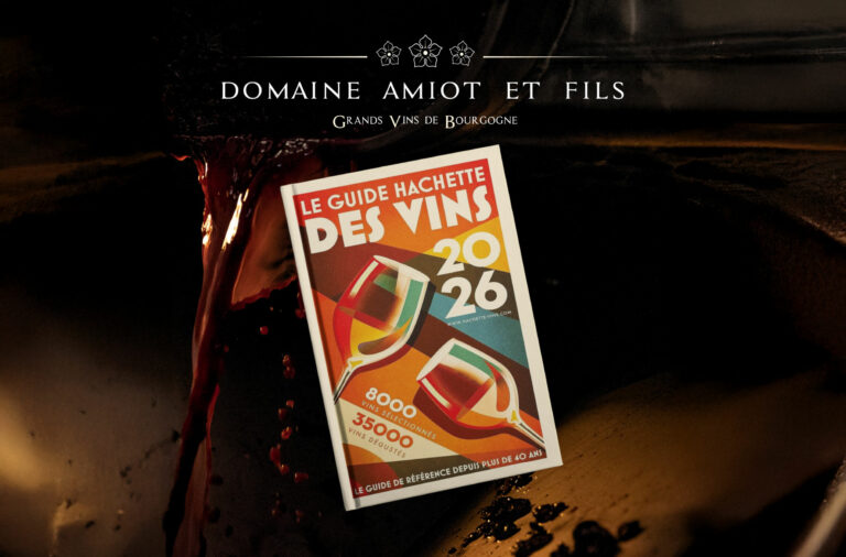 Domaine Amiot prix Hachette vin 2026