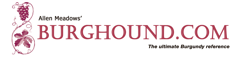 BURGHOUND logo